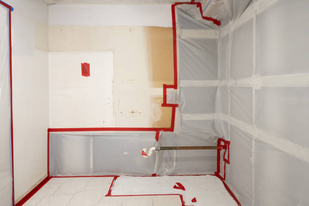 Best Post-Construction Mold Inspection  in Glasco, NY