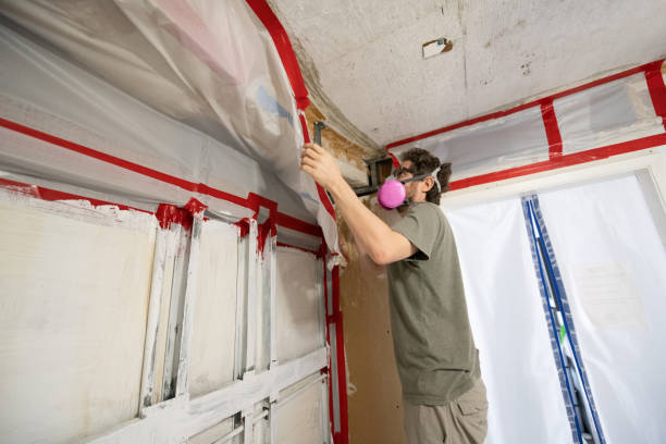 Reliable Glasco, NY Mold Removal Solutions