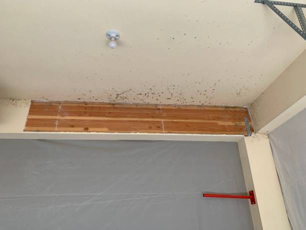 Best Mold Removal for HVAC Installations  in Glasco, NY