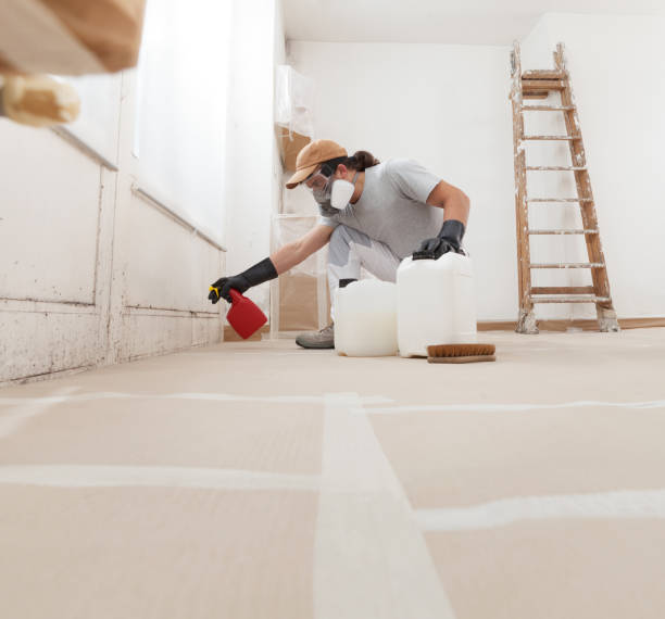 Best Residential Mold Inspection & Testing  in Glasco, NY